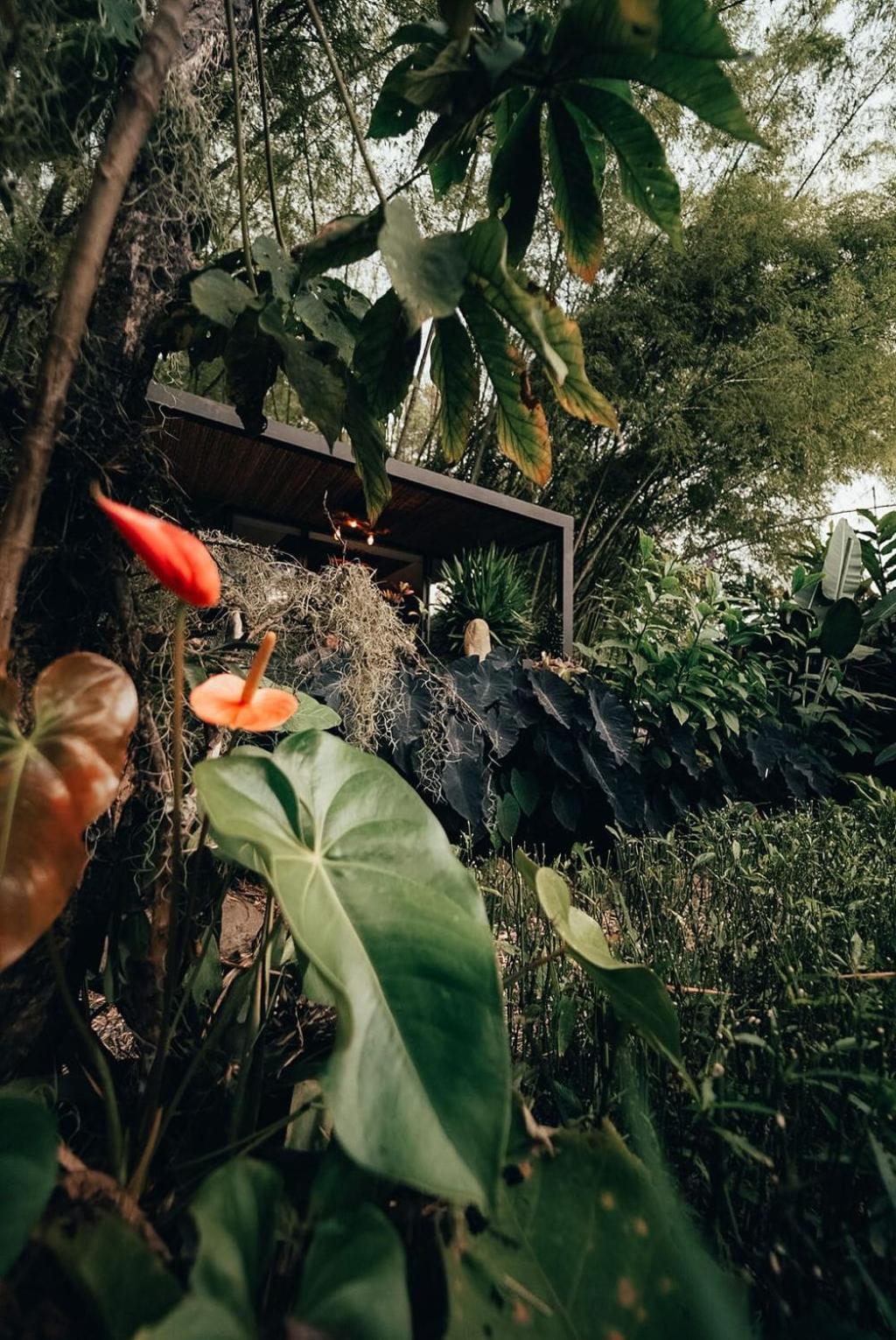 Luxury Glamping * Salento