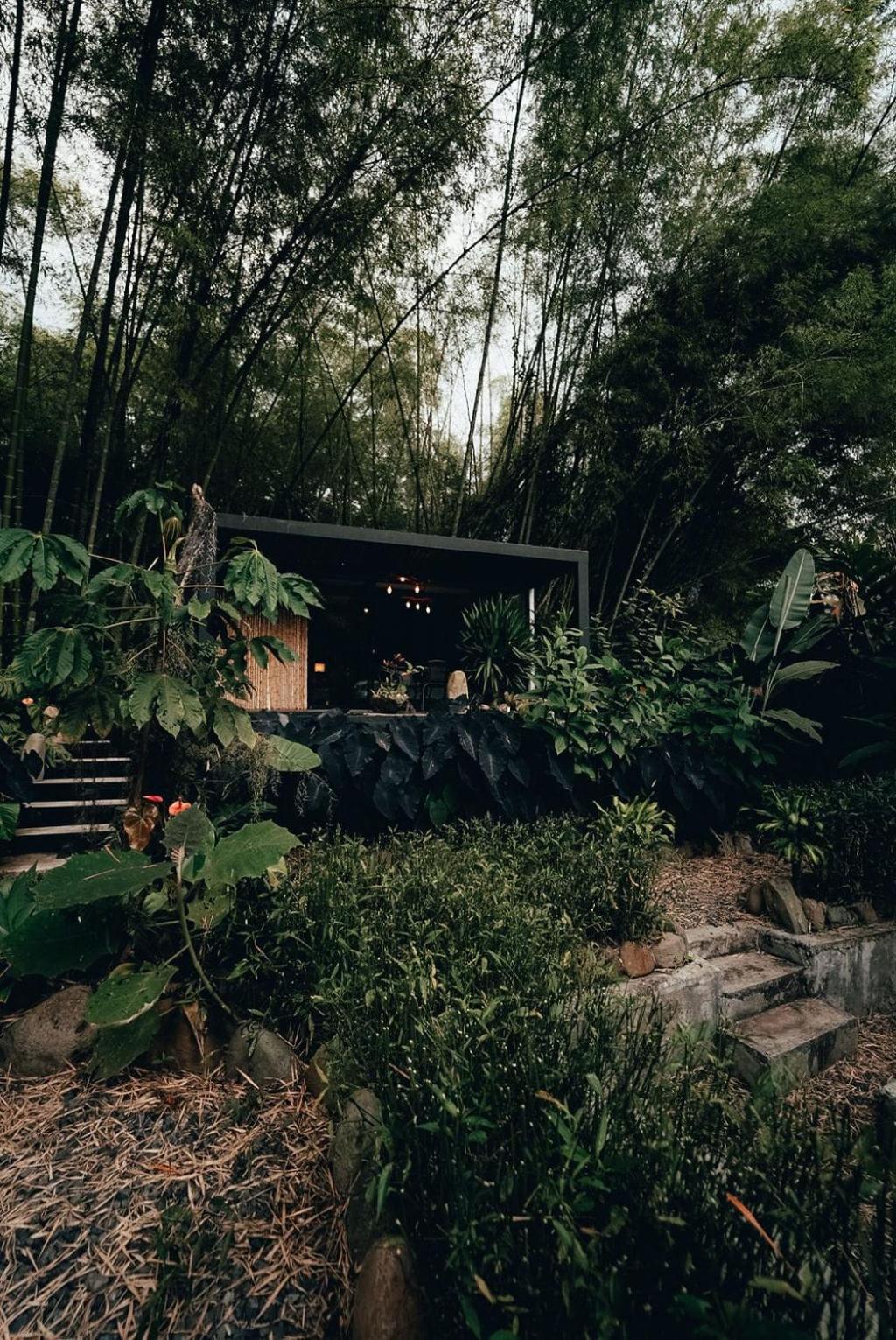 Luxury Glamping