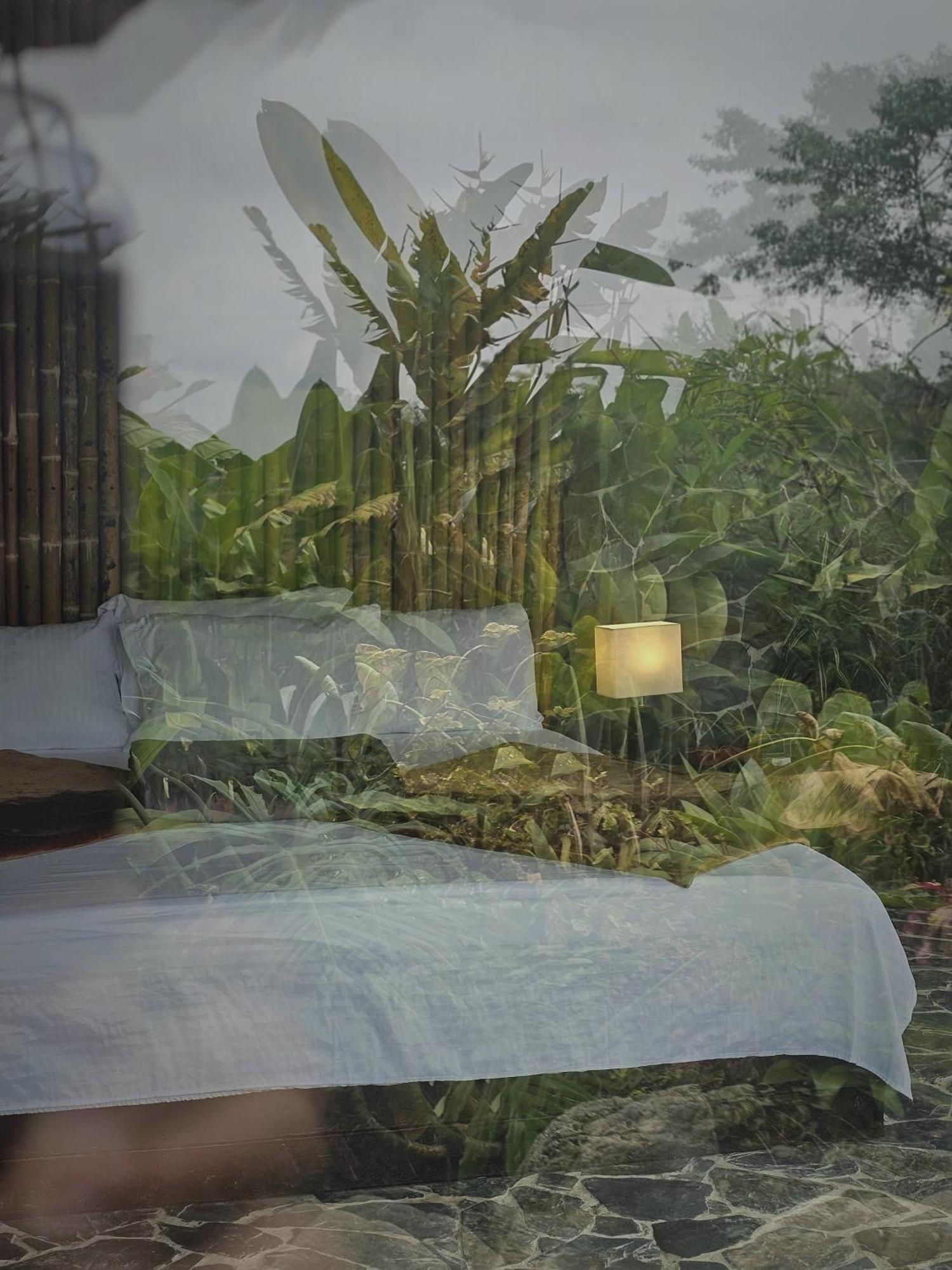 Luxury Glamping
