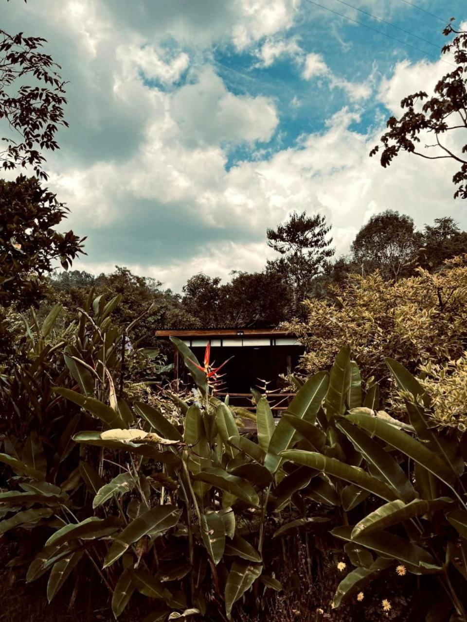 Luxury Glamping * Salento