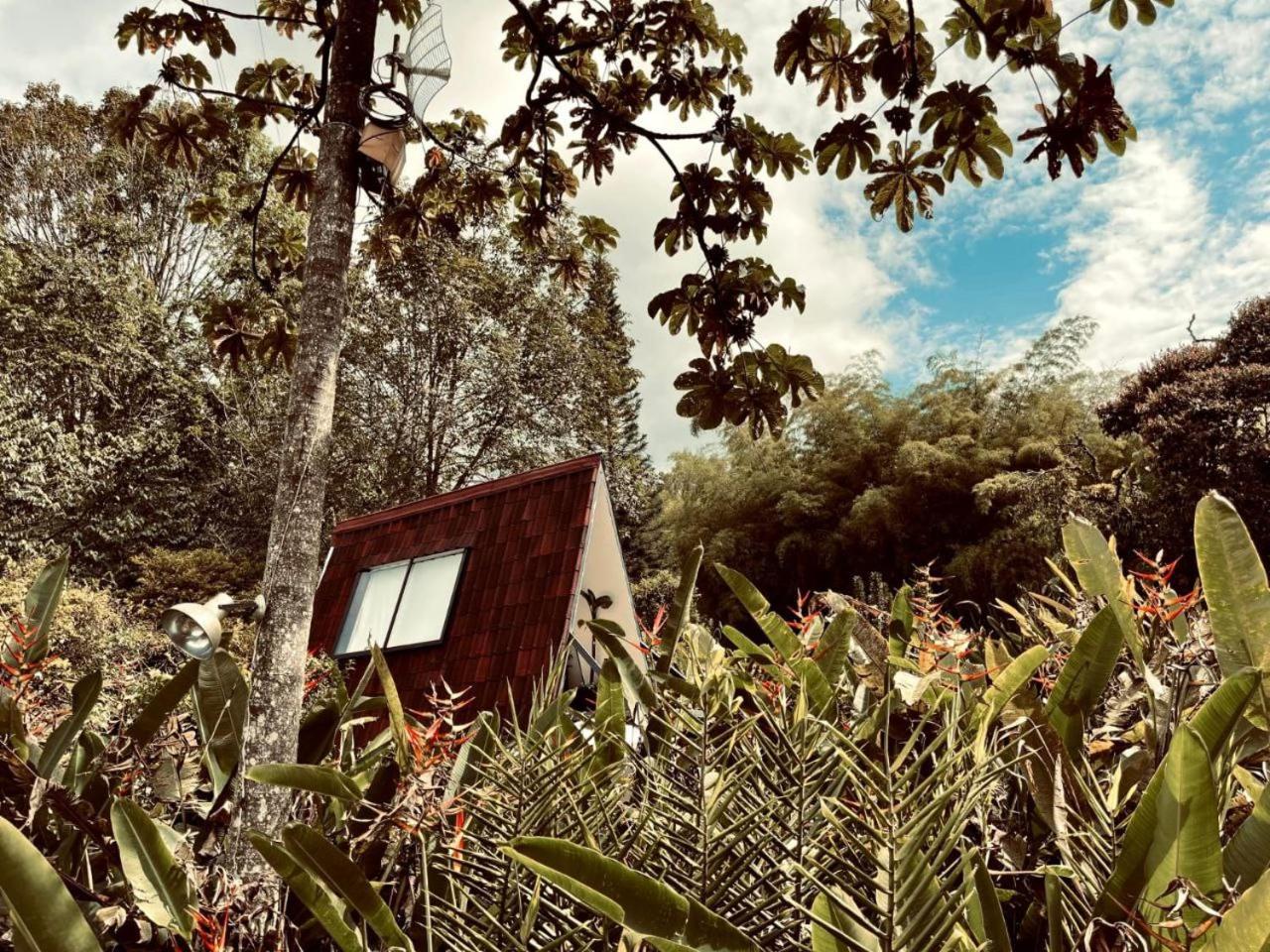 Luxury Glamping *